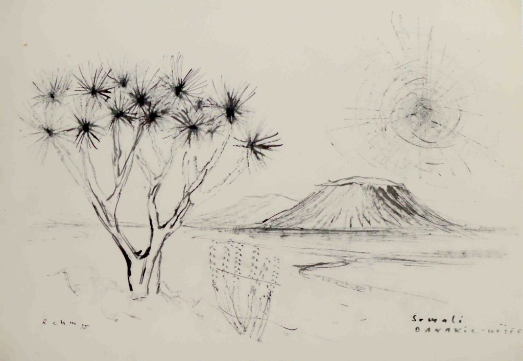 eine Federzeichnung der Danakil Wüste in Somalia. Im Vordergrund ein Dornbusch und im Hintergrund zwei Berge. Von Helmut Rehm aus dem Jahr 1955